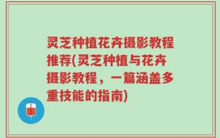 灵芝种植花卉摄影教程推荐(灵芝种植与花卉摄影教程，一篇涵盖多重技能的指南)