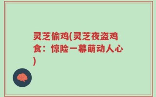 灵芝偷鸡(灵芝夜盗鸡食：惊险一幕萌动人心)