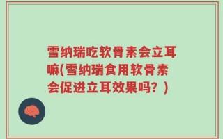 雪纳瑞吃软骨素会立耳嘛(雪纳瑞食用软骨素会促进立耳效果吗？)