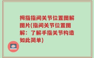 拇指指间关节位置图解图片(指间关节位置图解：了解手指关节构造如此简单)