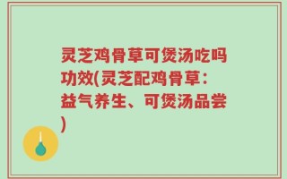 灵芝鸡骨草可煲汤吃吗功效(灵芝配鸡骨草：益气养生、可煲汤品尝)