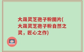 大晟灵芝孢子粉图片(大晟灵芝孢子粉自然之灵，匠心之作)