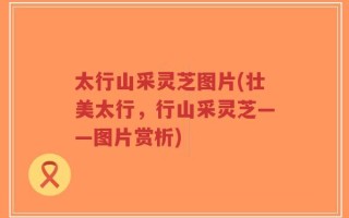 太行山采灵芝图片(壮美太行，行山采灵芝——图片赏析)