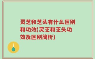灵芝和芝头有什么区别和功效(灵芝和芝头功效及区别简析)