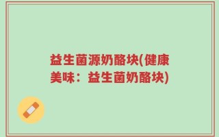 益生菌源奶酪块(健康美味：益生菌奶酪块)