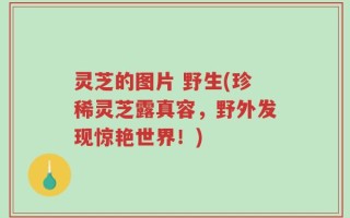 灵芝的图片 野生(珍稀灵芝露真容，野外发现惊艳世界！)