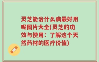 灵芝能治什么病最好用呢图片大全(灵芝的功效与使用：了解这个天然药材的医疗价值)