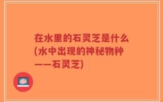 在水里的石灵芝是什么(水中出现的神秘物种——石灵芝)