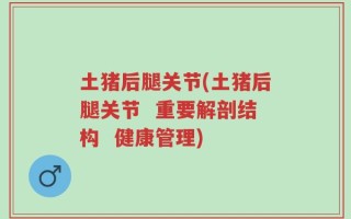 土猪后腿关节(土猪后腿关节  重要解剖结构  健康管理)