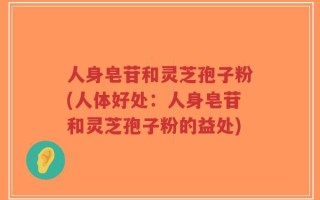 人身皂苷和灵芝孢子粉(人体好处：人身皂苷和灵芝孢子粉的益处)