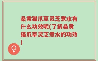 桑黄猫爪草灵芝煮水有什么功效呢(了解桑黄猫爪草灵芝煮水的功效)