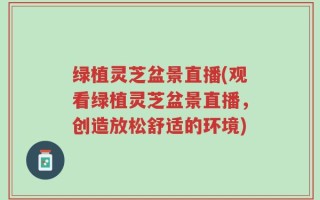 绿植灵芝盆景直播(观看绿植灵芝盆景直播，创造放松舒适的环境)