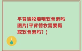 平背德牧要喂软骨素吗图片(平背德牧需要摄取软骨素吗？)