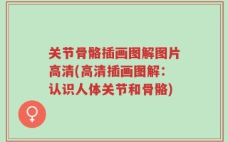 关节骨骼插画图解图片高清(高清插画图解：认识人体关节和骨骼)