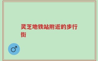 灵芝地铁站附近的步行街