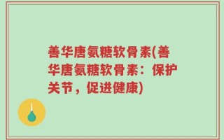 善华唐氨糖软骨素(善华唐氨糖软骨素：保护关节，促进健康)