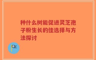 种什么树能促进灵芝孢子粉生长的佳选择与方法探讨