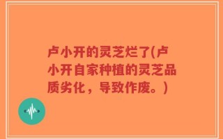 卢小开的灵芝烂了(卢小开自家种植的灵芝品质劣化，导致作废。)