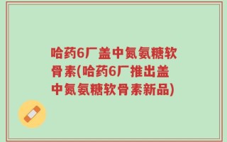 哈药6厂盖中氮氨糖软骨素(哈药6厂推出盖中氮氨糖软骨素新品)