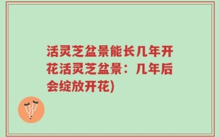 活灵芝盆景能长几年开花活灵芝盆景：几年后会绽放开花)