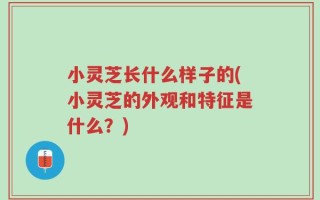 小灵芝长什么样子的(小灵芝的外观和特征是什么？)