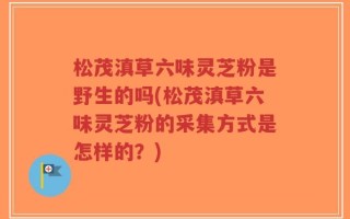 松茂滇草六味灵芝粉是野生的吗(松茂滇草六味灵芝粉的采集方式是怎样的？)