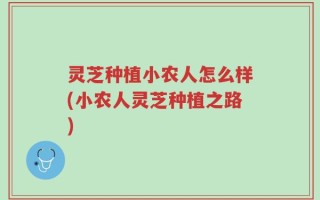 灵芝种植小农人怎么样(小农人灵芝种植之路)