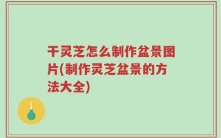 干灵芝怎么制作盆景图片(制作灵芝盆景的方法大全)