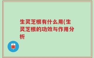 生灵芝根有什么用(生灵芝根的功效与作用分析