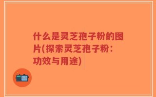 什么是灵芝孢子粉的图片(探索灵芝孢子粉：功效与用途)