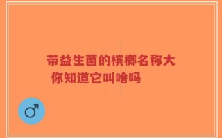 带益生菌的槟榔名称大 你知道它叫啥吗