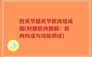 肘关节膝关节肌肉组成图(肘膝肌肉图解：肌肉构成与功能简述)