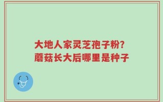 大地人家灵芝孢子粉？蘑菇长大后哪里是种子