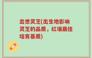 出世灵芝(出生地影响灵芝的品质，红壤最佳培育基质)