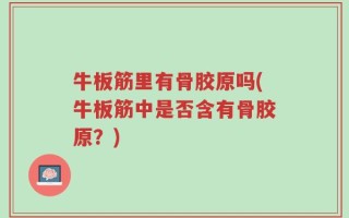 牛板筋里有骨胶原吗(牛板筋中是否含有骨胶原？)