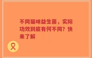 不同猫咪益生菌，实际功效到底有何不同？快来了解