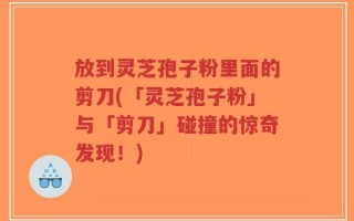放到灵芝孢子粉里面的剪刀(「灵芝孢子粉」与「剪刀」碰撞的惊奇发现！)