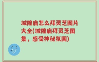 城隍庙怎么拜灵芝图片大全(城隍庙拜灵芝图集，感受神秘氛围)