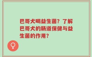 巴哥犬喝益生菌？了解巴哥犬的肠道保健与益生菌的作用？
