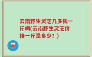 云南野生灵芝几多钱一斤啊(云南野生灵芝价格一斤是多少？)