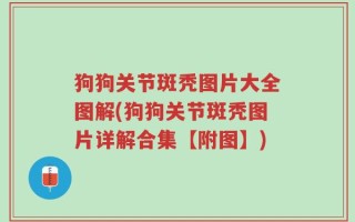 狗狗关节斑秃图片大全图解(狗狗关节斑秃图片详解合集【附图】)