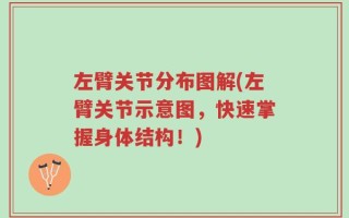 左臂关节分布图解(左臂关节示意图，快速掌握身体结构！)