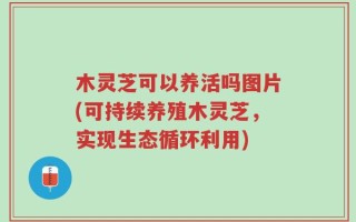 木灵芝可以养活吗图片(可持续养殖木灵芝，实现生态循环利用)