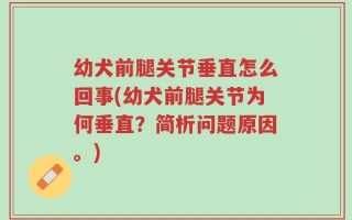 幼犬前腿关节垂直怎么回事(幼犬前腿关节为何垂直？简析问题原因。)