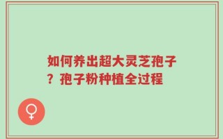 如何养出超大灵芝孢子？孢子粉种植全过程