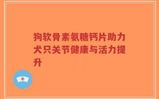 狗软骨素氨糖钙片助力犬只关节健康与活力提升