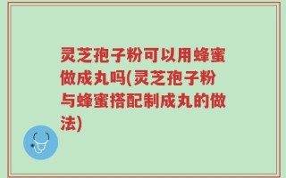 灵芝孢子粉可以用蜂蜜做成丸吗(灵芝孢子粉与蜂蜜搭配制成丸的做法)