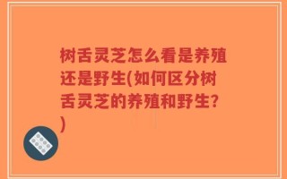 树舌灵芝怎么看是养殖还是野生(如何区分树舌灵芝的养殖和野生？)