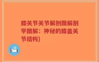 膝关节关节解刨图解剖学图解：神秘的膝盖关节结构)