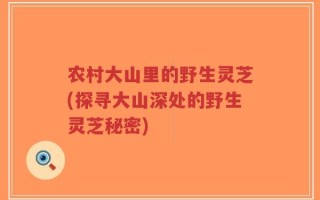 农村大山里的野生灵芝(探寻大山深处的野生灵芝秘密)